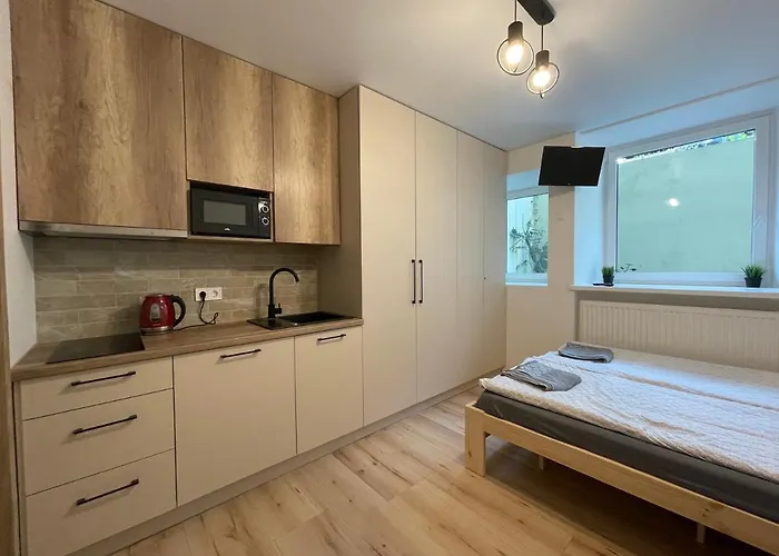 Modern In Center I 3 Vilnius